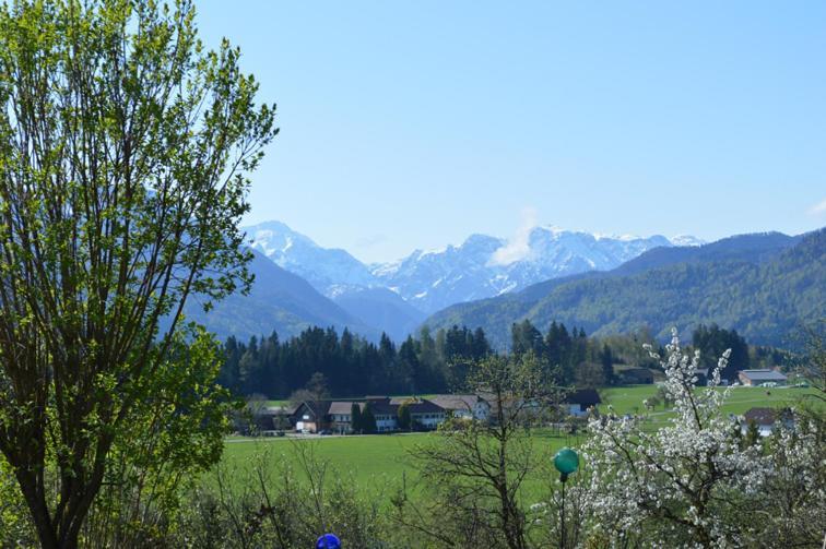 Pension Schindlau Scharnstein エクステリア 写真