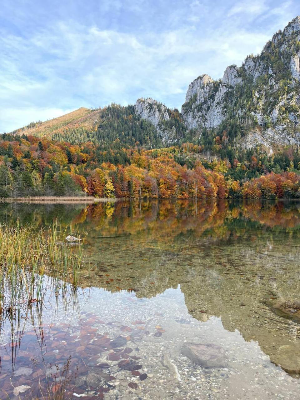 Pension Schindlau Scharnstein エクステリア 写真