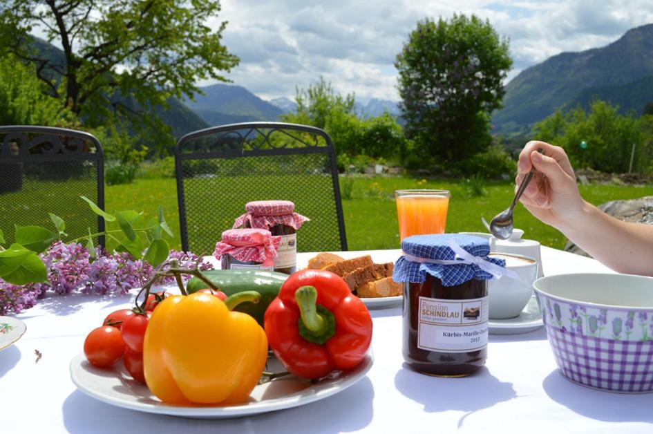 Pension Schindlau Scharnstein エクステリア 写真